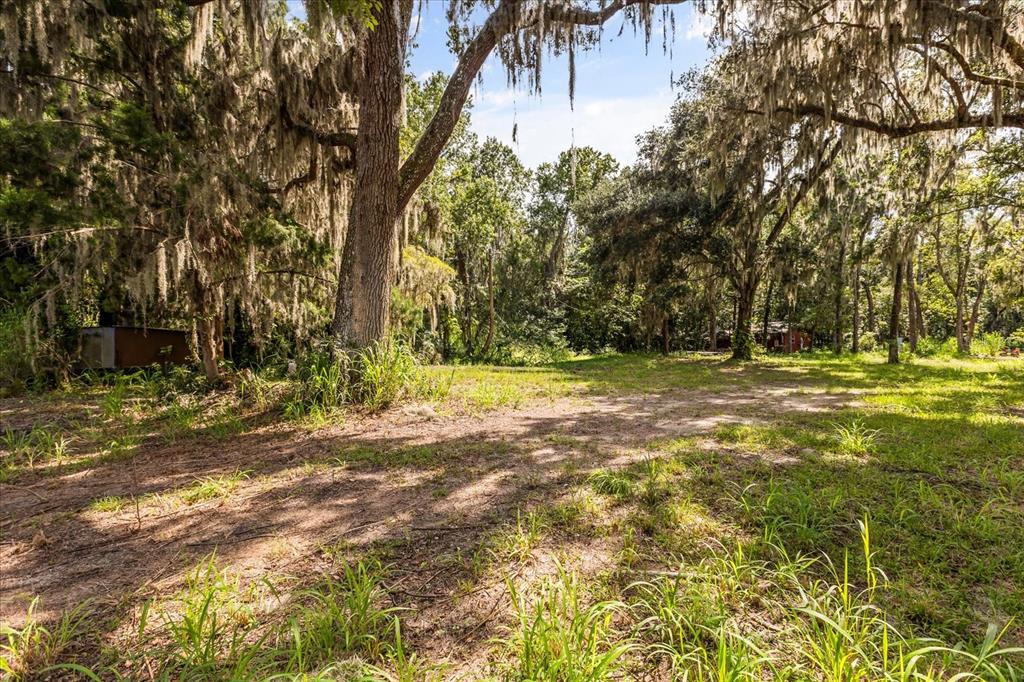 2301 Jeslan Court Oviedo, FL 32765 - Photo 7 of 26 a view of outdoor space with trees