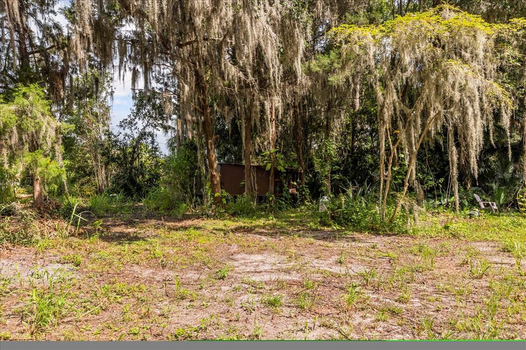 2301 Jeslan Court Oviedo, FL 32765 - Photo 8 of 26 a view of a yard with a tree