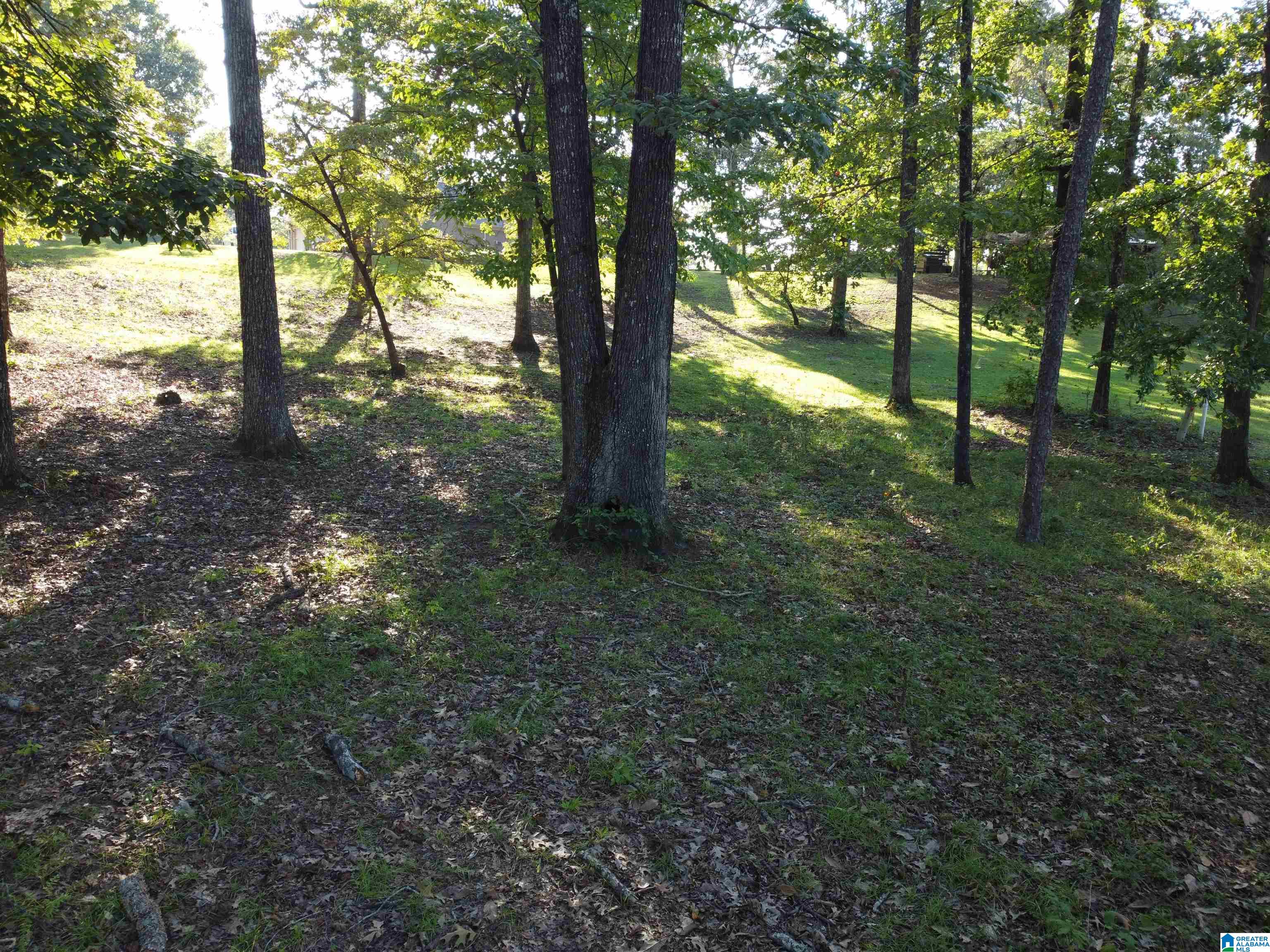 Lot 16 Riley Circle, Unit 16 Thorsby, AL 35171 - Photo 15 of 19