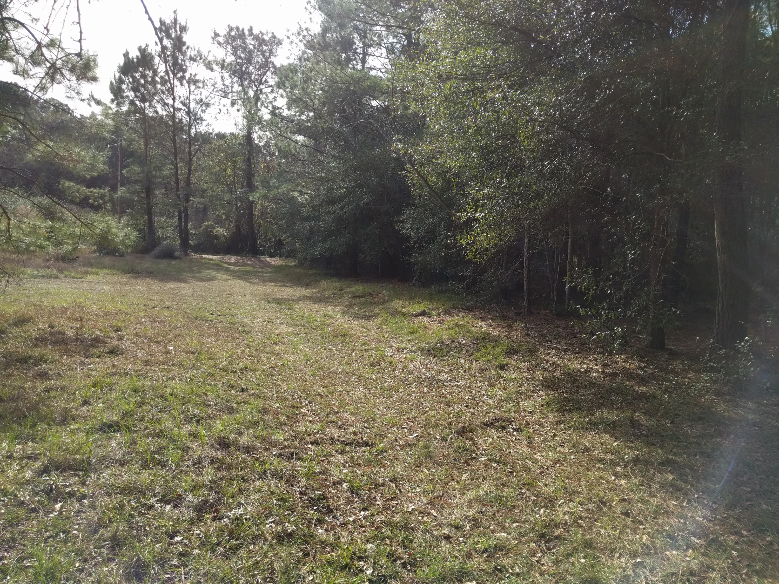 3190 Thomas Jones Road Johns Island, SC 29455 - Photo 1 of 6 IMG_20160114_112201