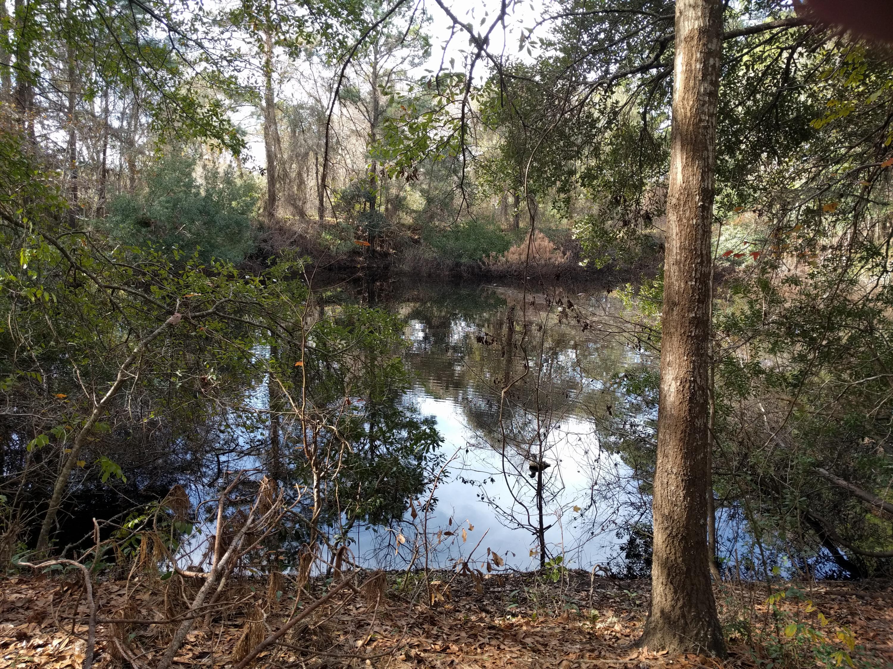 3190 Thomas Jones Road Johns Island, SC 29455 - Photo 2 of 6 IMG_20160114_111959