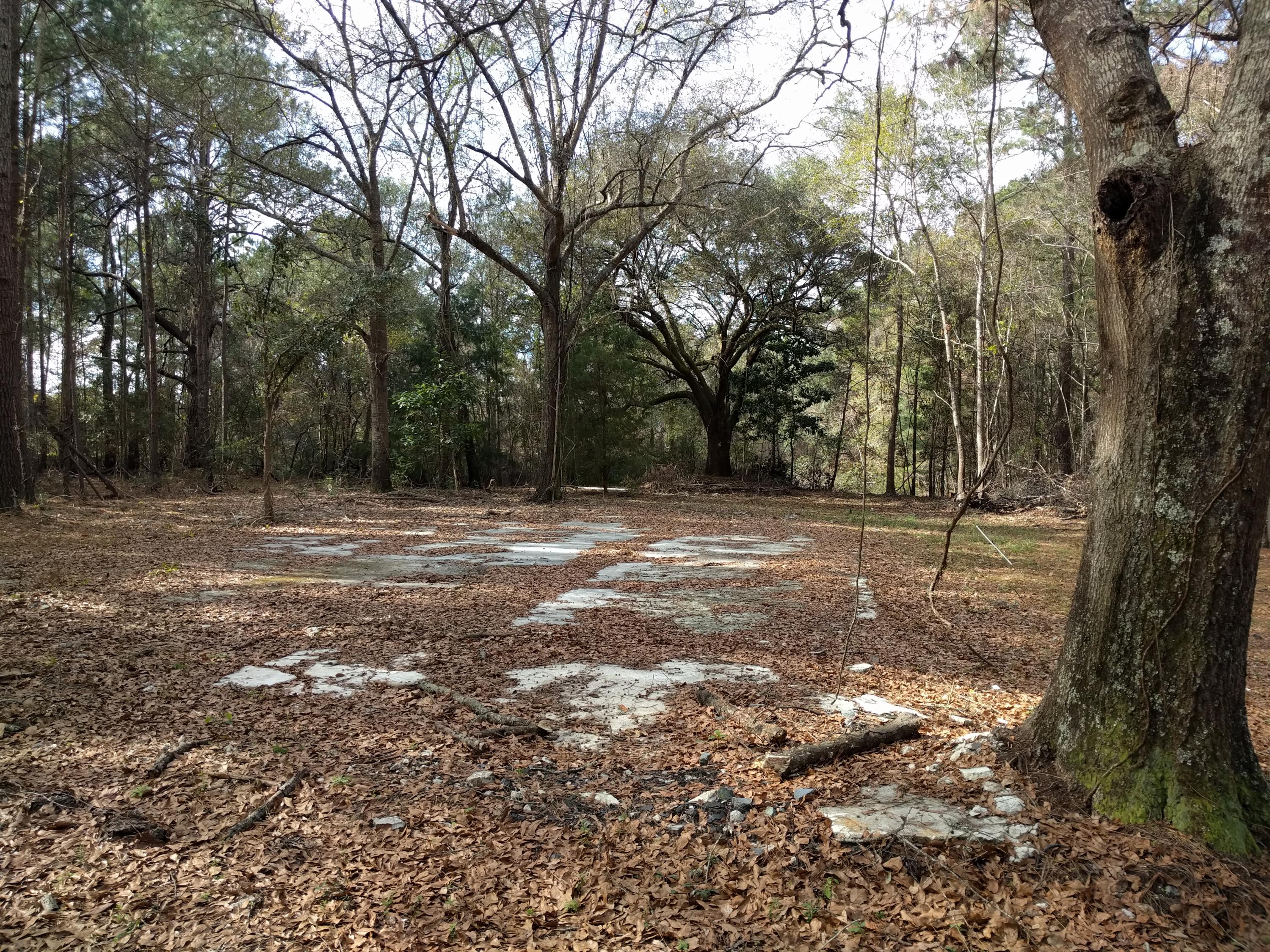 3190 Thomas Jones Road Johns Island, SC 29455 - Photo 3 of 6 IMG_20160114_111913
