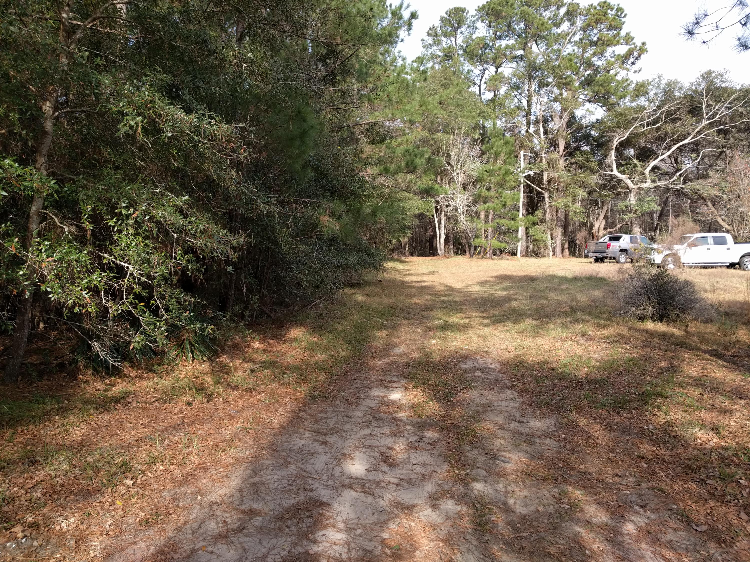 3190 Thomas Jones Road Johns Island, SC 29455 - Photo 4 of 6 IMG_20160114_112238