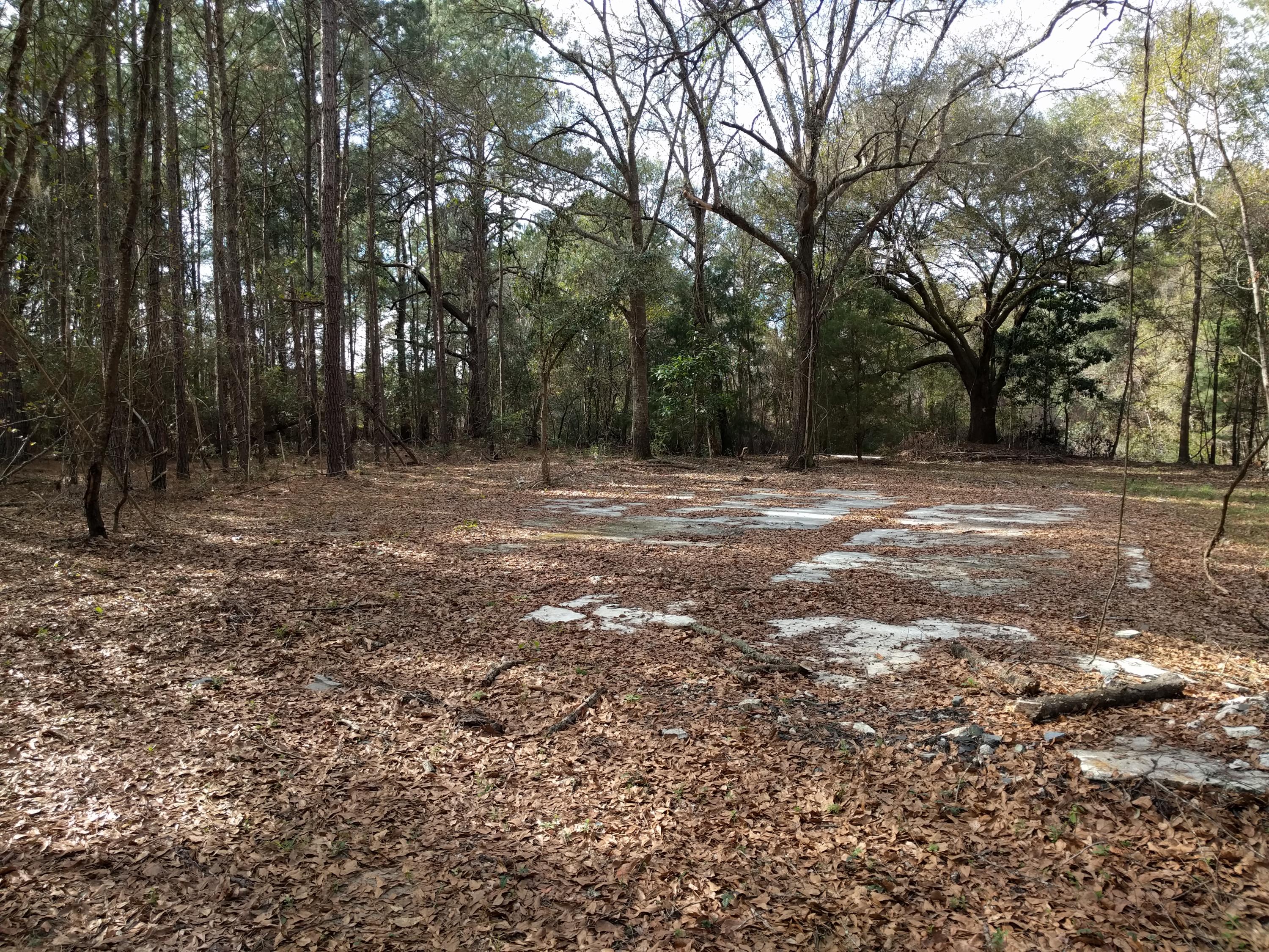 3190 Thomas Jones Road Johns Island, SC 29455 - Photo 6 of 6 IMG_20160114_111909