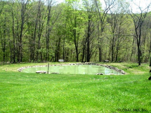 210 County Rte 351 Rensselaerville, NY 12120 - Photo 8 of 15 Photo 8
