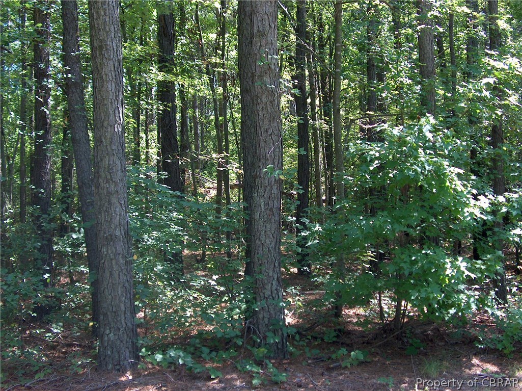 21 Plantation Road North, VA 23128 - Photo 4 of 28 Gallery Image 4