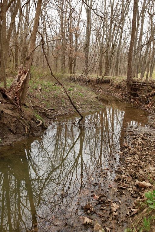 26313 South Smoke Road Peculiar, MO 64078 - Photo 35 of 72