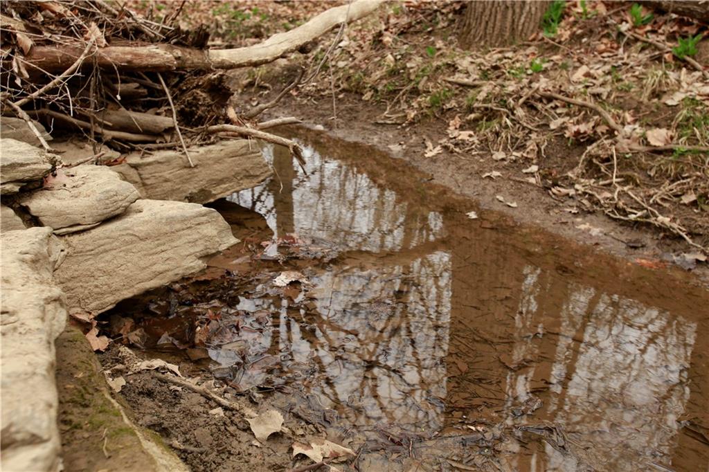 26313 South Smoke Road Peculiar, MO 64078 - Photo 36 of 72