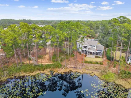 a view of a garden with mountains in the background