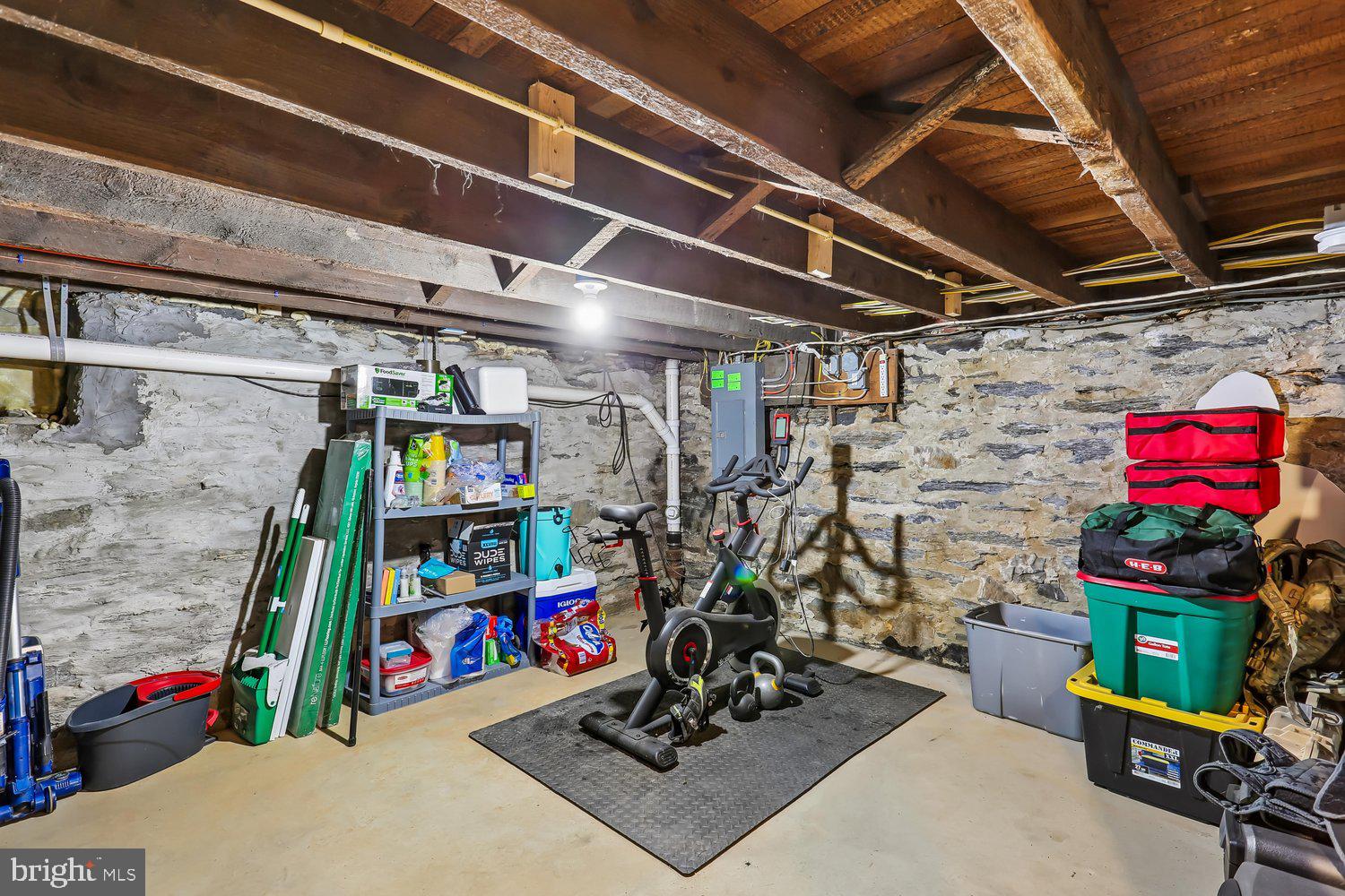 30 Hamilton Avenue Frederick, MD 21701 - Photo 31 of 38 Functional basement with workout space.