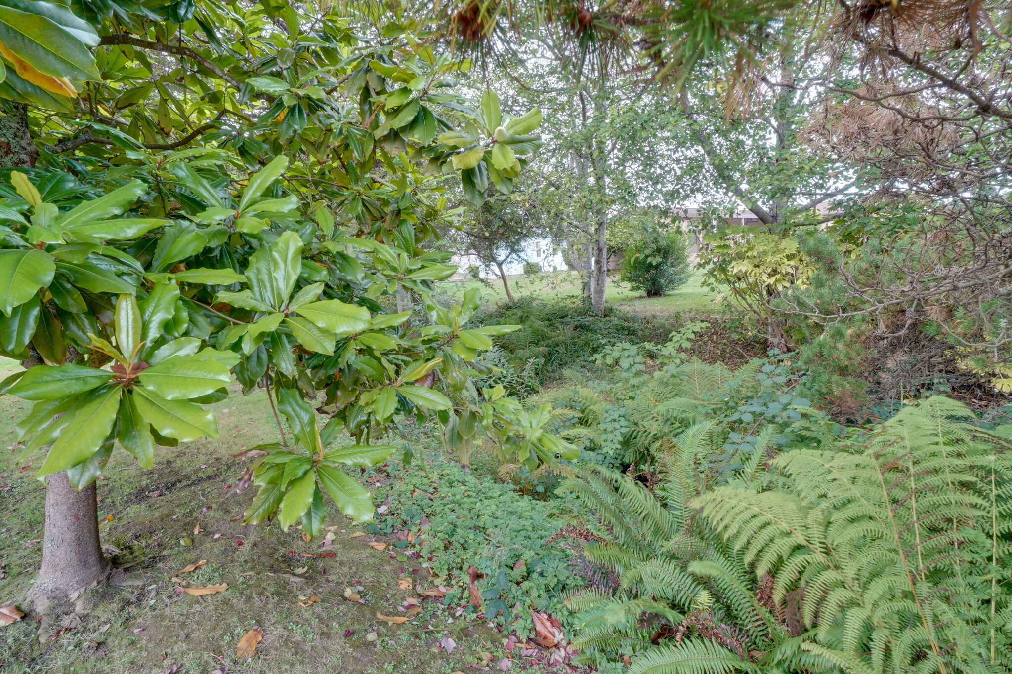 1090 Murray Road, Unit 80 McKinleyville, CA 95519 - Photo 10 of 55