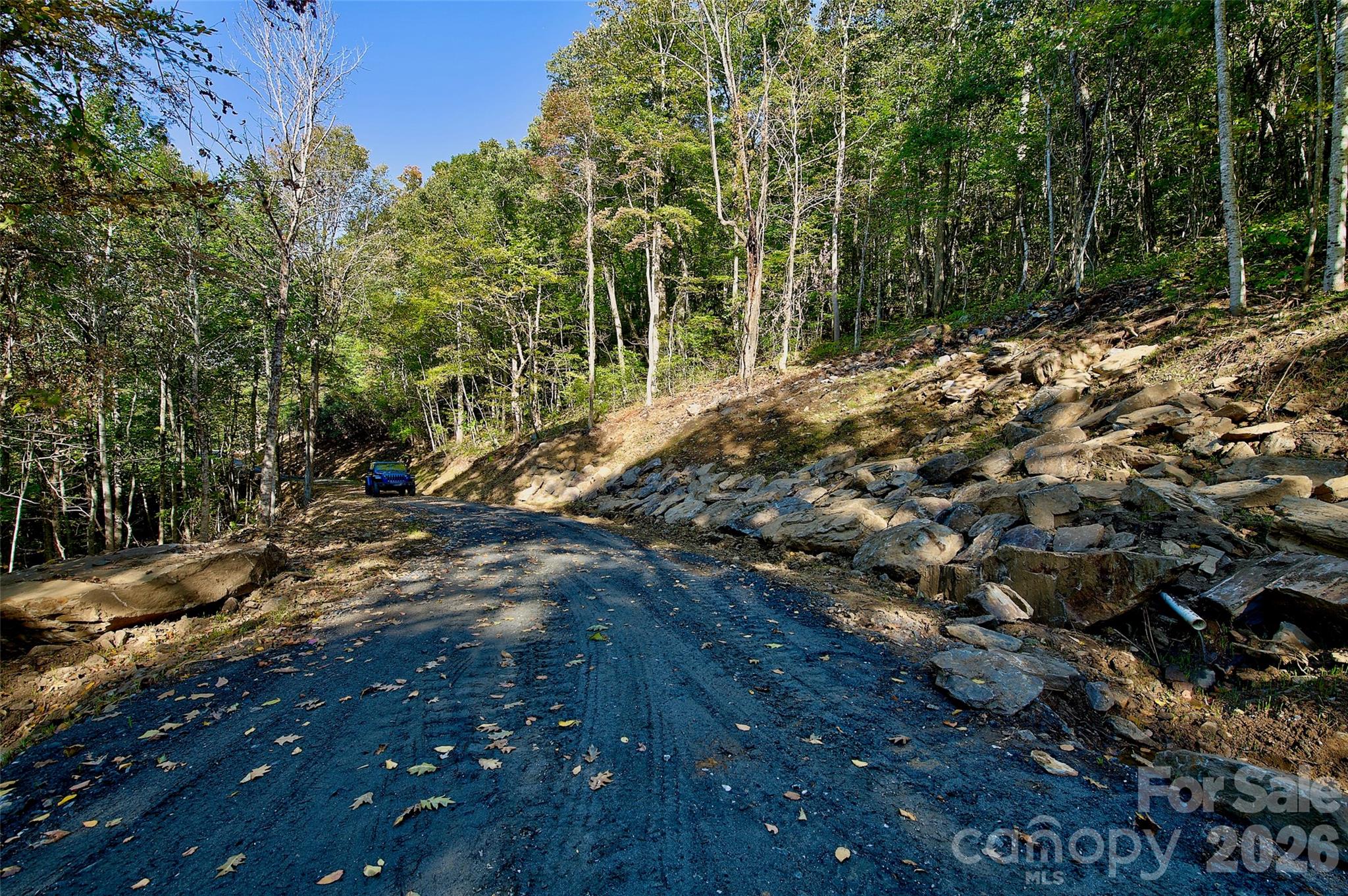 0 Arrowhead Ridge Road Spruce Pine, NC 28777 - Photo 13 of 15 Gallery Image 13