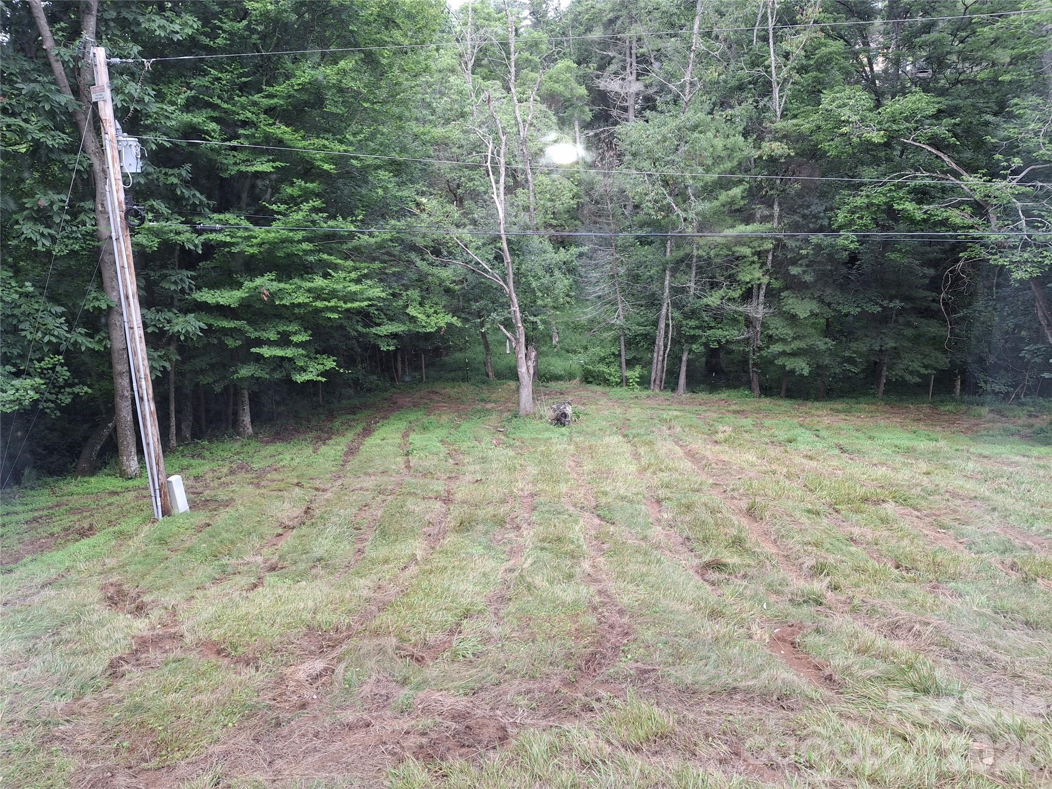 232 Tilson Street Mars Hill, NC 28754 - Photo 5 of 22