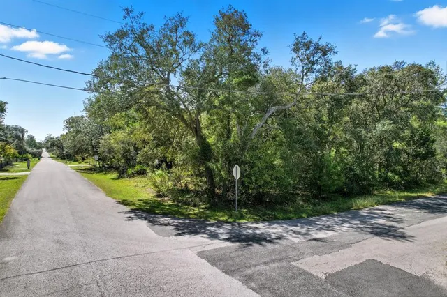 a view of a street with a trees