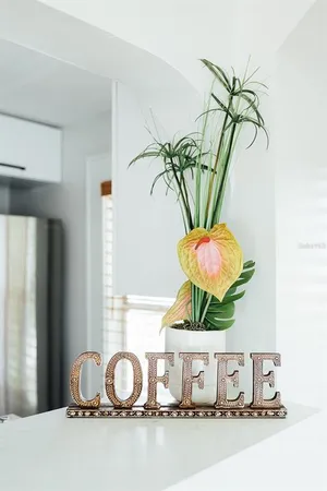 a kitchen with a sink cabinets and a stove