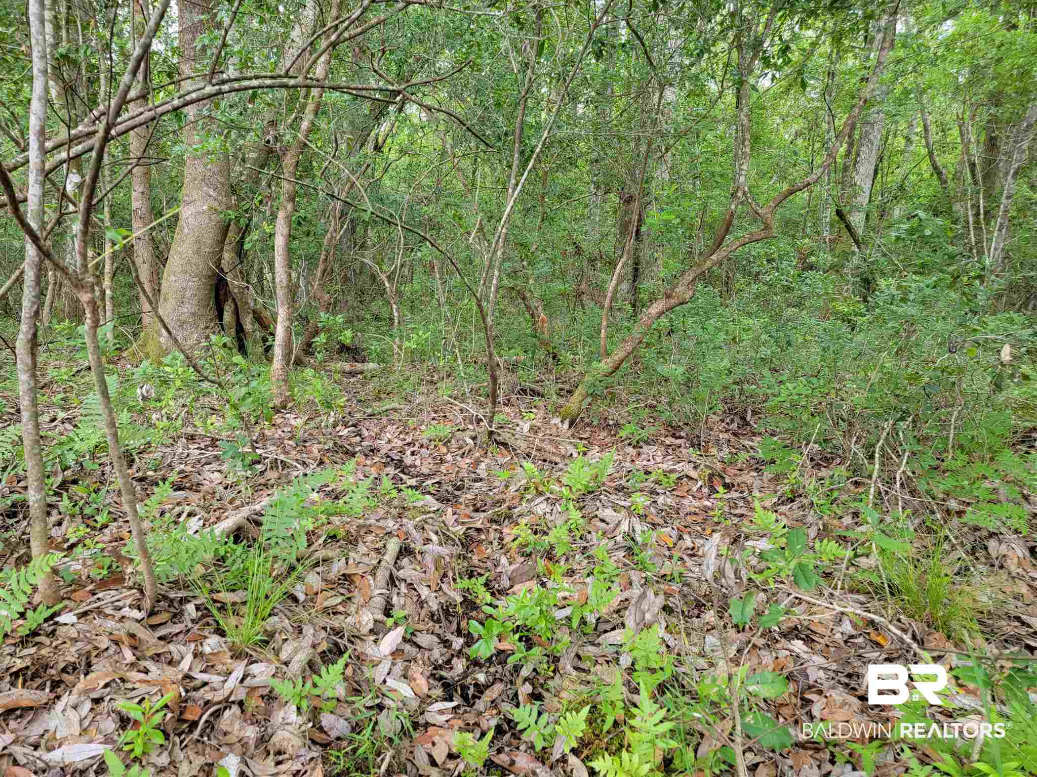 0 Scranage Road Atmore, AL 36502 - Photo 2 of 4 Gallery Image 2