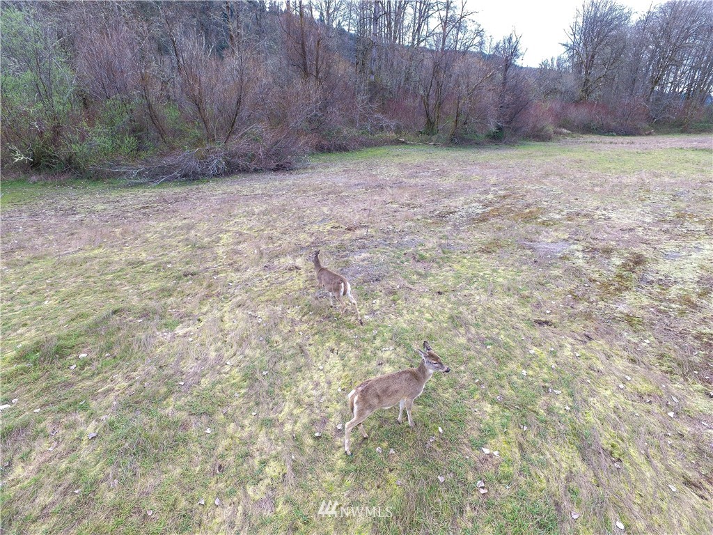 -xxa Columbia Point Road Longview, WA 98632 - Photo 11 of 13