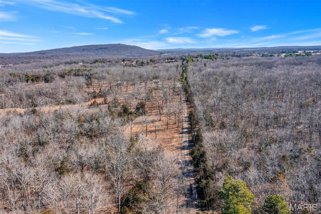 493 Brightstone Road Farmington, MO 63640 - Photo 18 of 18