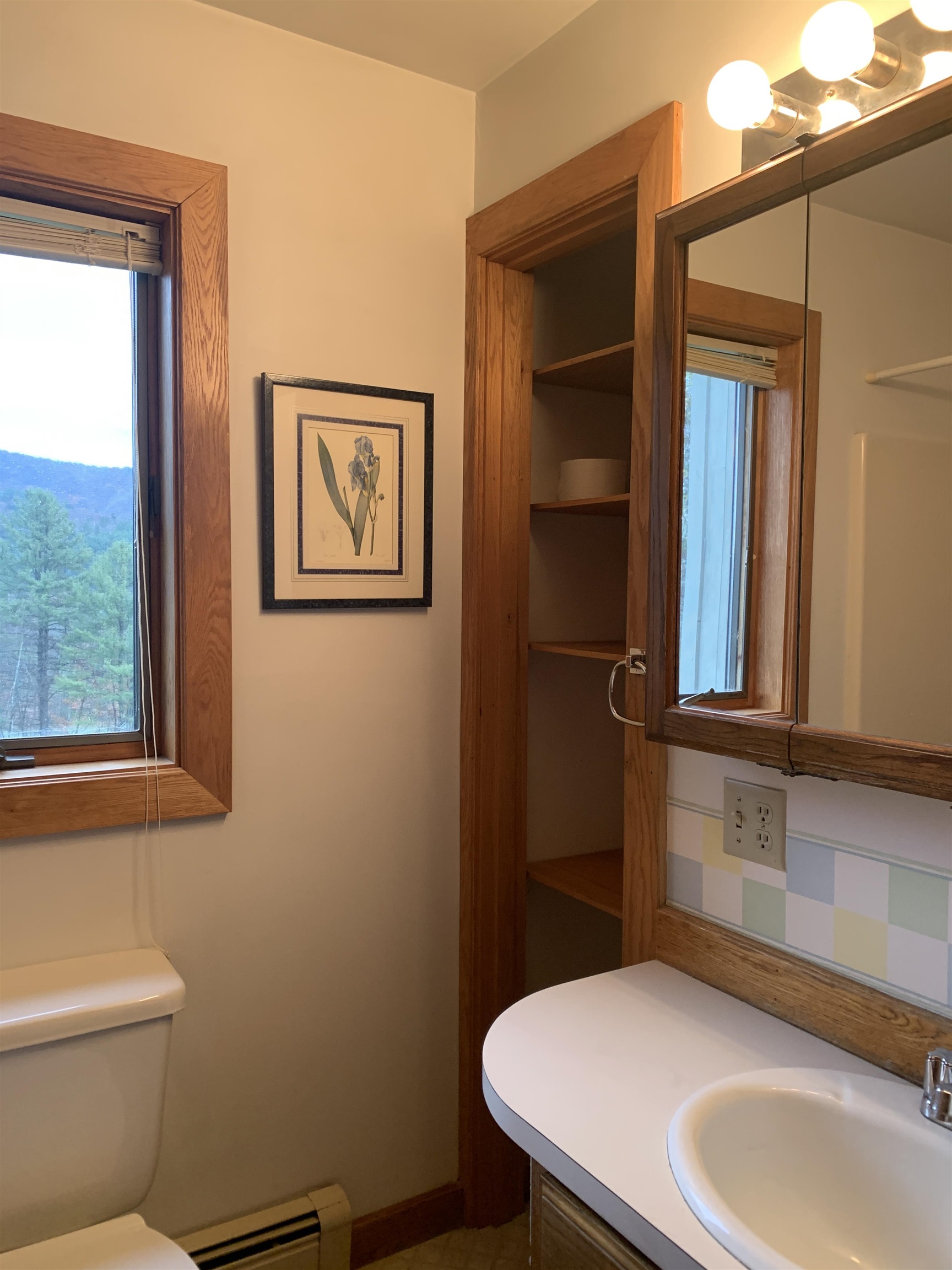74 Town Farm Road Reading, VT 05153 - Photo 19 of 23