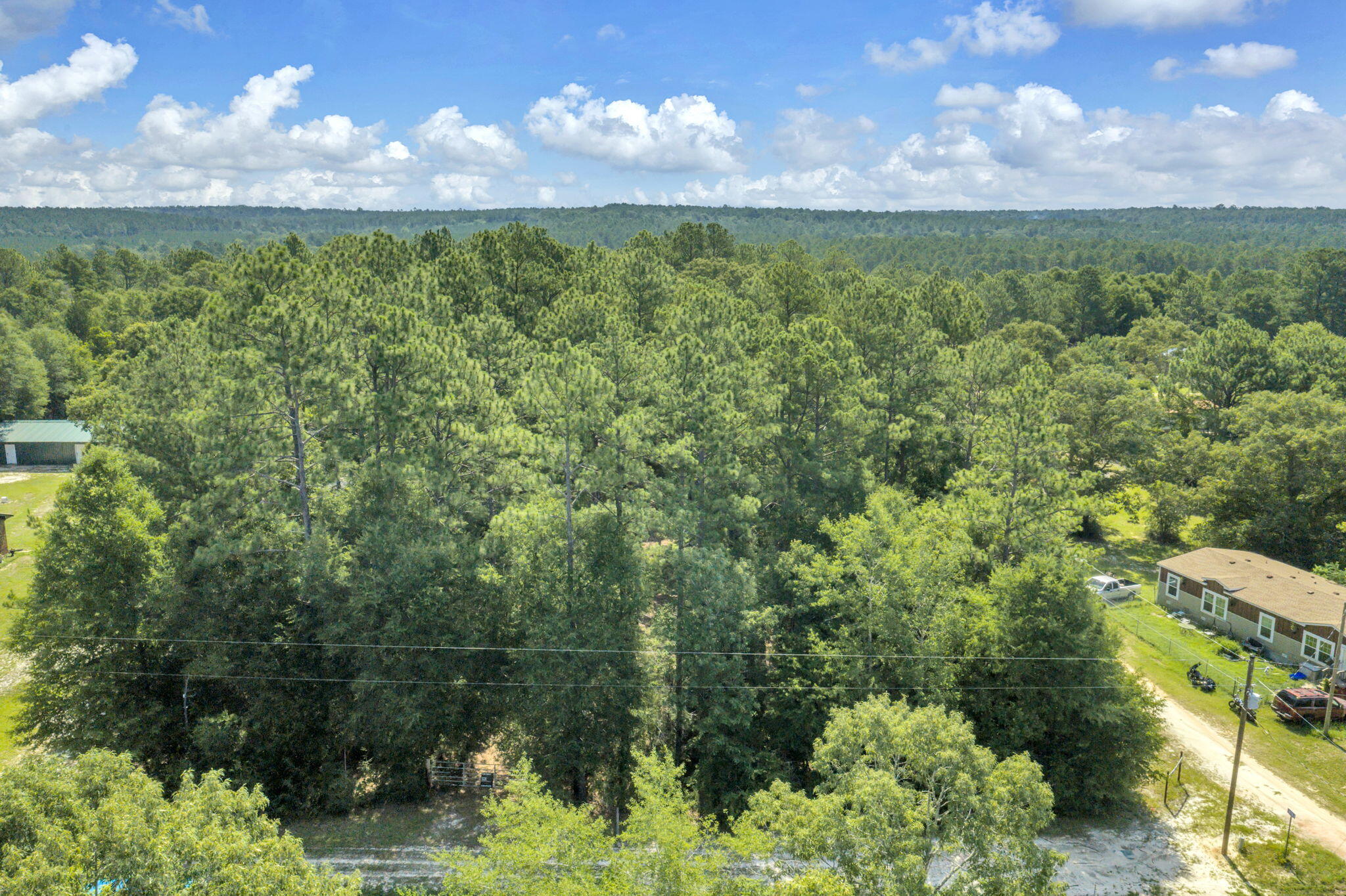 82 Acres 4 Flags Road Laurel Hill, FL 32567 - Photo 10 of 45 3-web-or-mls-DJI_20260702101904_0512_D