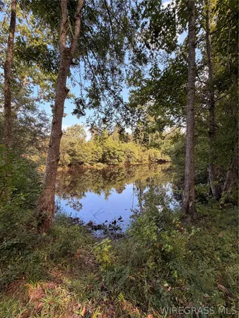$300,000 | 3563 Old Meriwether Trail, Lapine, AL 36046