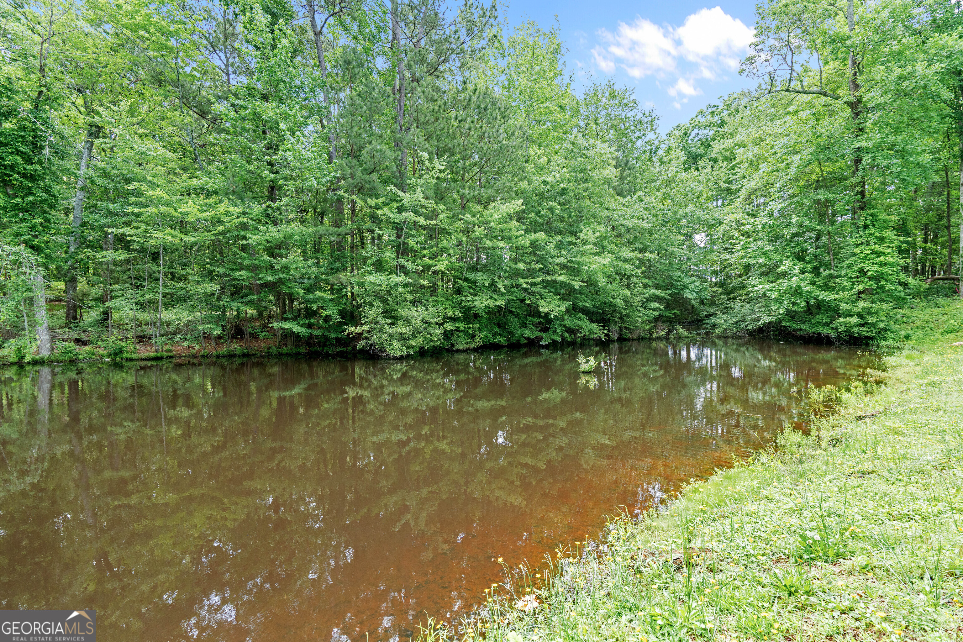 226 Waddell Road Bremen, GA 30110 - Photo 39 of 42