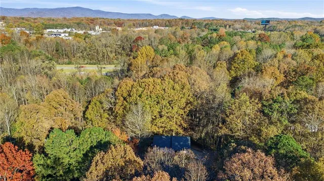 a view of a tree with a yard