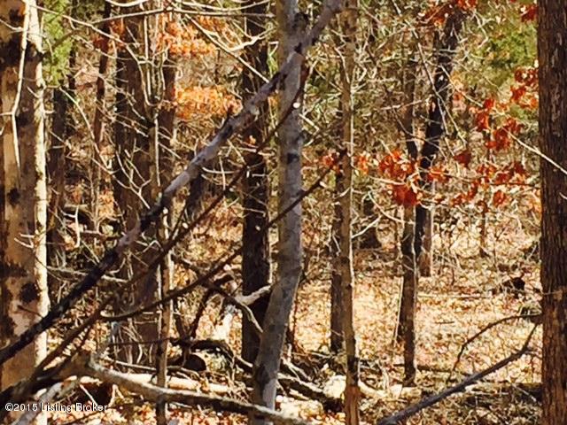 5 Shores Road Falls Of Rough, KY 40119 - Photo 3 of 10 FullSizeRender-15.jpg