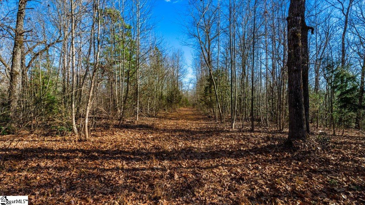 0 Mauldin Lake Road Pickens, SC 29671 - Photo 11 of 25
