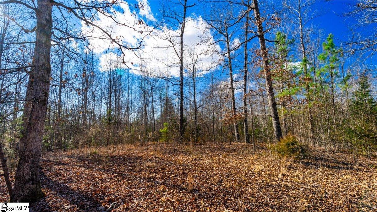 0 Mauldin Lake Road Pickens, SC 29671 - Photo 12 of 25