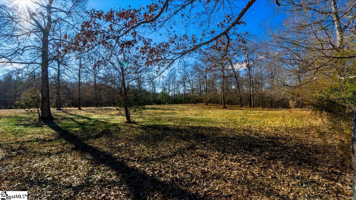 0 Mauldin Lake Road Pickens, SC 29671 - Photo 13 of 25