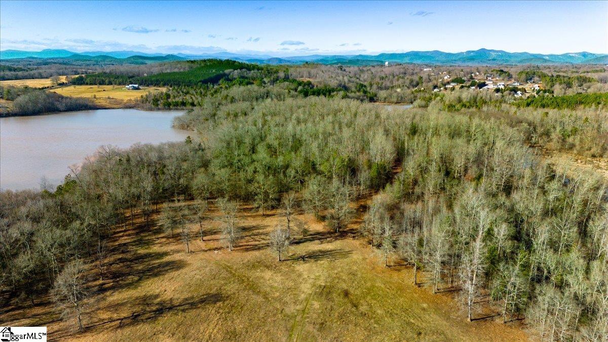 0 Mauldin Lake Road Pickens, SC 29671 - Photo 14 of 25