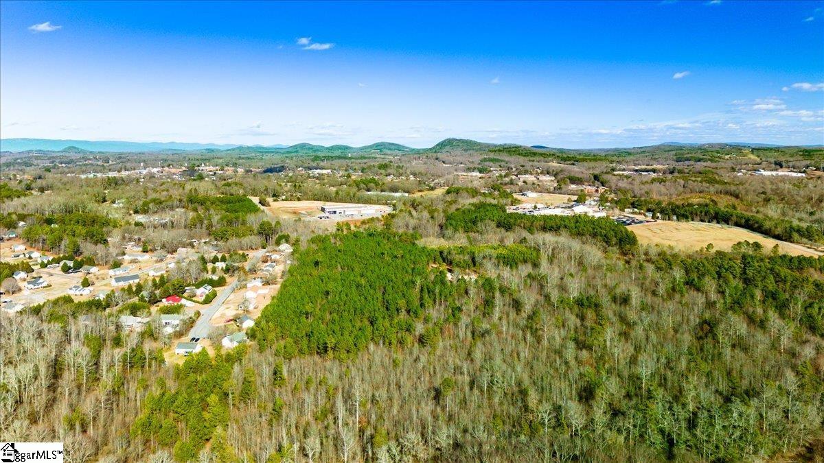 0 Mauldin Lake Road Pickens, SC 29671 - Photo 15 of 25