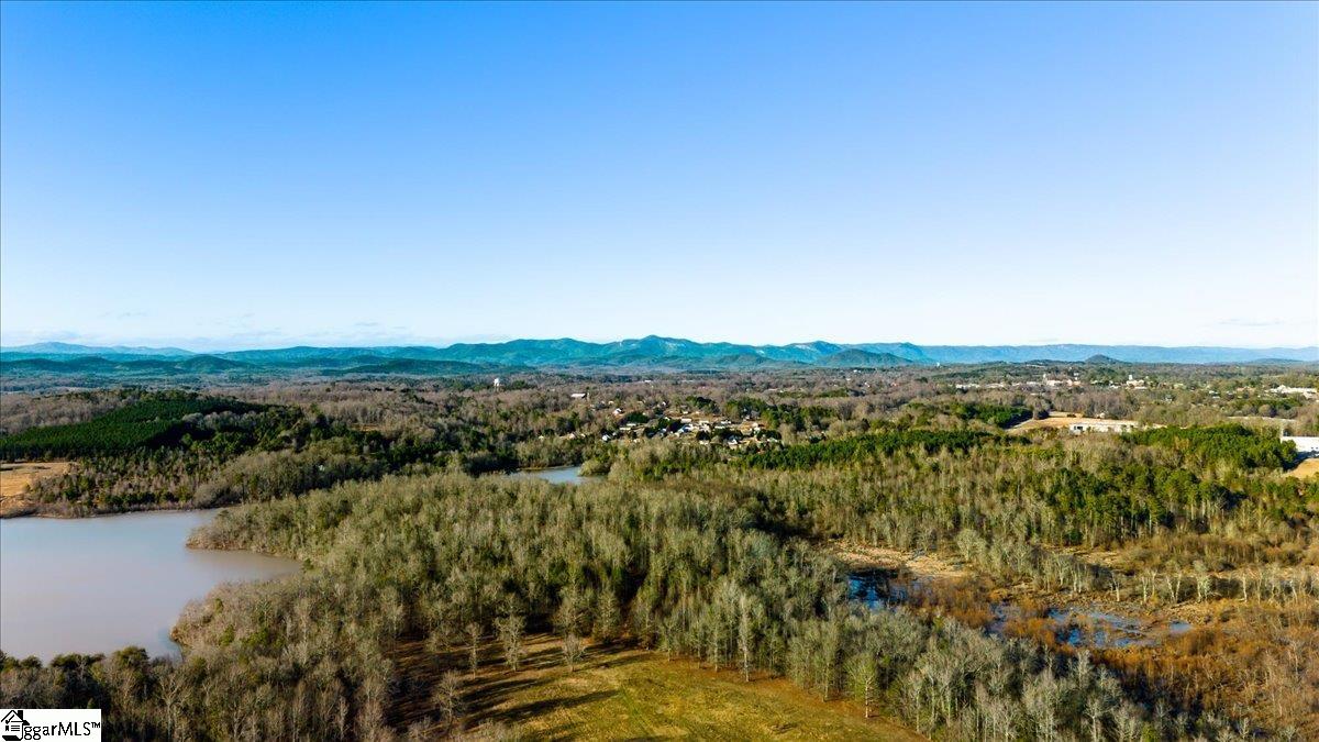 0 Mauldin Lake Road Pickens, SC 29671 - Photo 20 of 25
