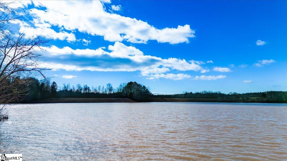 0 Mauldin Lake Road Pickens, SC 29671 - Photo 2 of 25