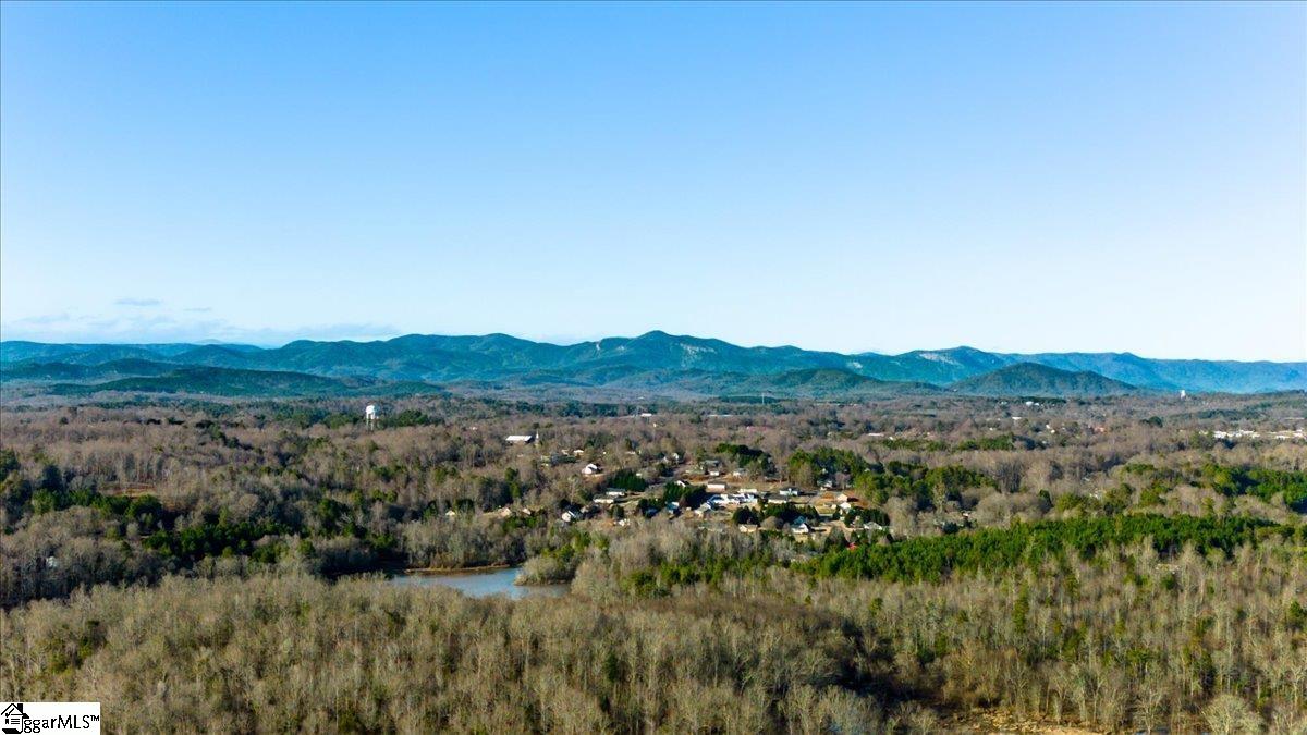 0 Mauldin Lake Road Pickens, SC 29671 - Photo 21 of 25