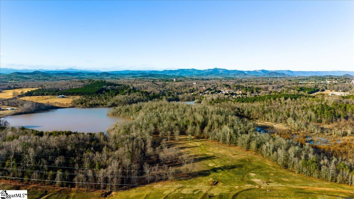 0 Mauldin Lake Road Pickens, SC 29671 - Photo 22 of 25