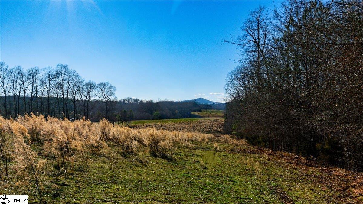 0 Mauldin Lake Road Pickens, SC 29671 - Photo 24 of 25