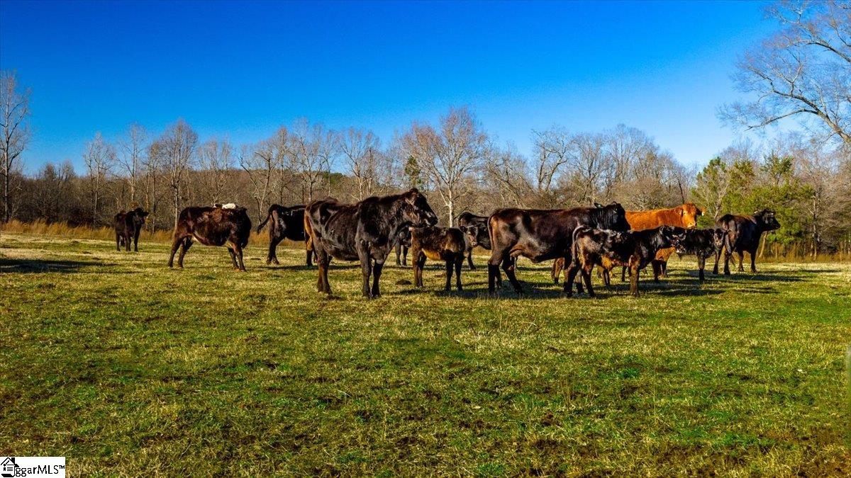 0 Mauldin Lake Road Pickens, SC 29671 - Photo 25 of 25