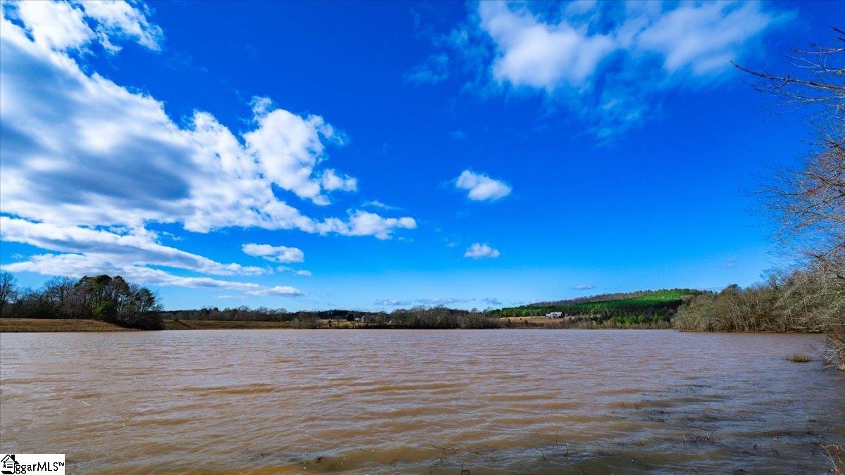 0 Mauldin Lake Road Pickens, SC 29671 - Photo 3 of 25