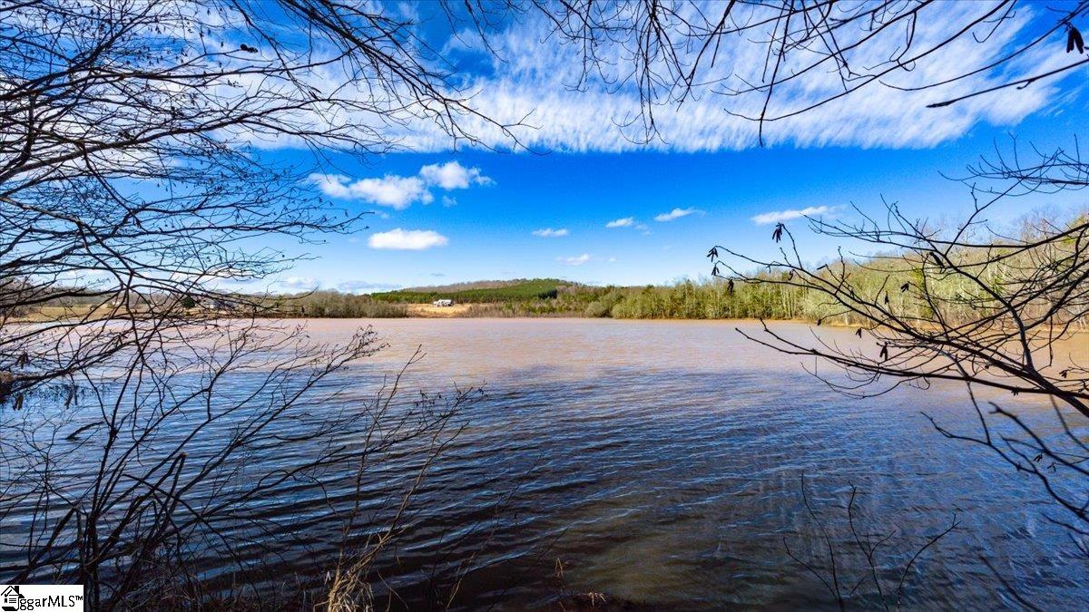 0 Mauldin Lake Road Pickens, SC 29671 - Photo 4 of 25