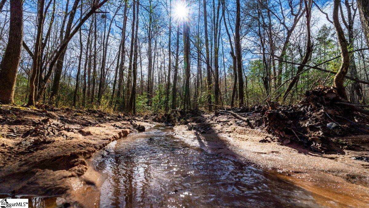 0 Mauldin Lake Road Pickens, SC 29671 - Photo 6 of 25