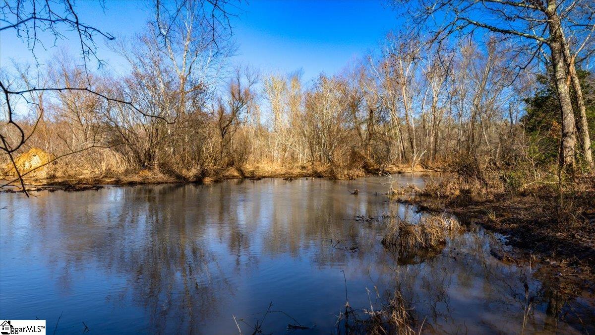 0 Mauldin Lake Road Pickens, SC 29671 - Photo 7 of 25