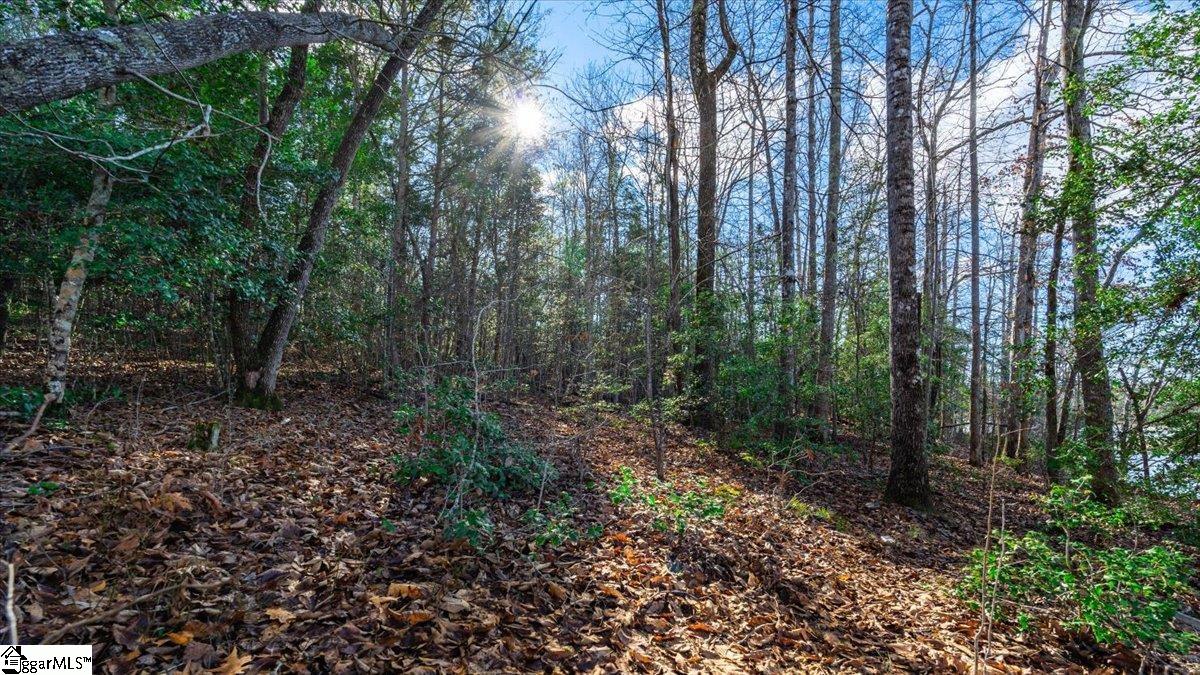 0 Mauldin Lake Road Pickens, SC 29671 - Photo 9 of 25