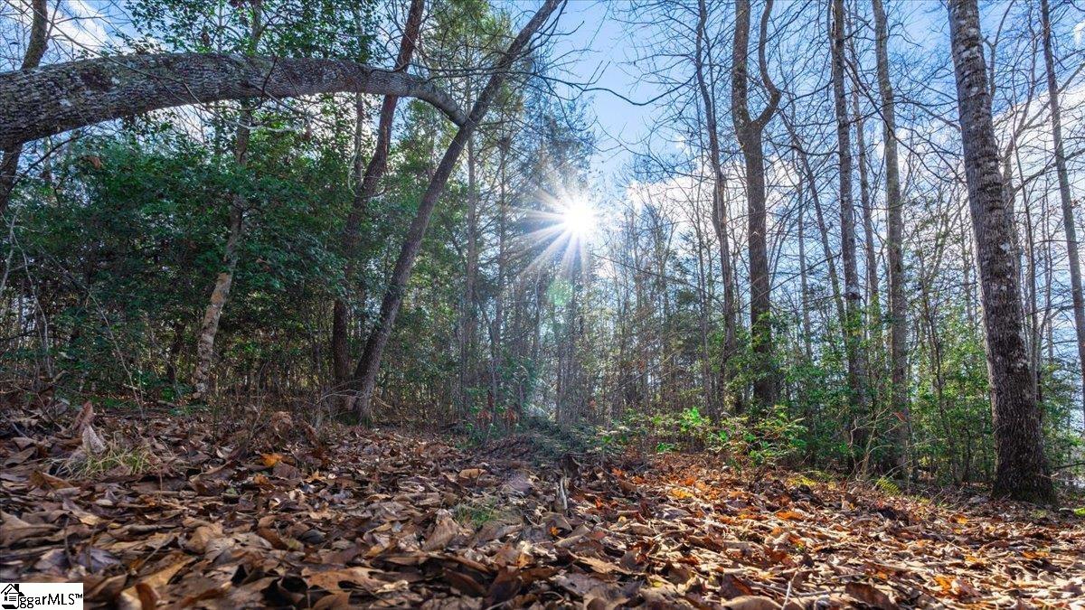 0 Mauldin Lake Road Pickens, SC 29671 - Photo 10 of 25