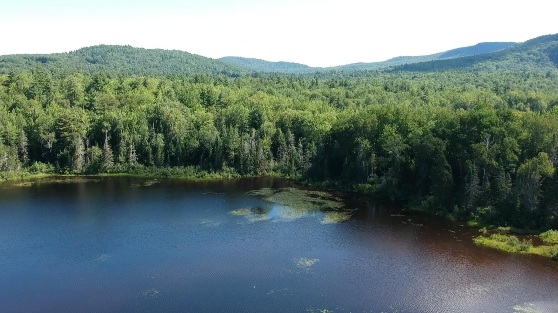 95 Chandler Pond Road Landaff, NH 03585 - Photo 3 of 10 Gallery Image 3