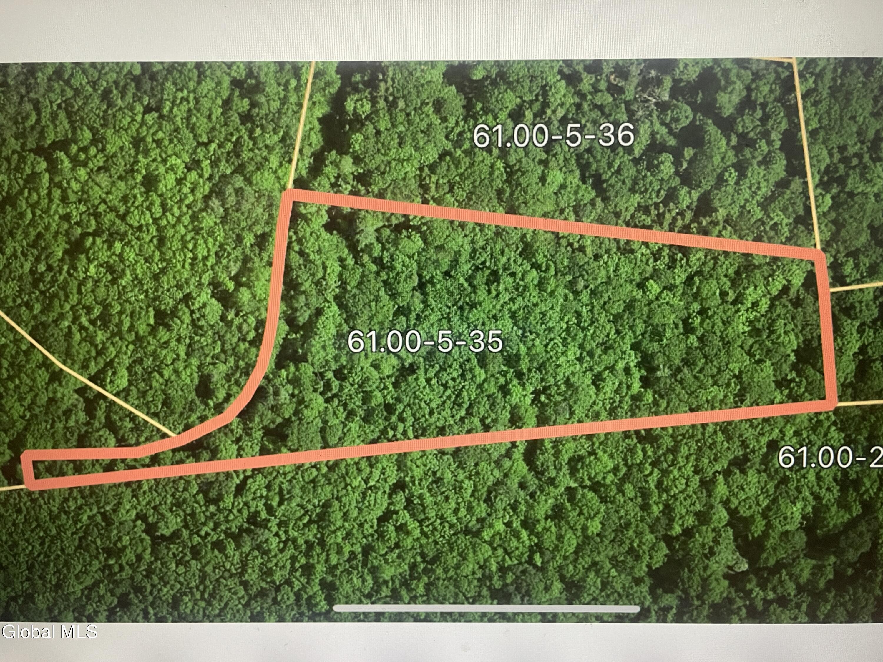 L35 Boulder Brook Road, Unit LOT # 11 Windham, NY 12496 - Photo 2 of 37 IMG_0579