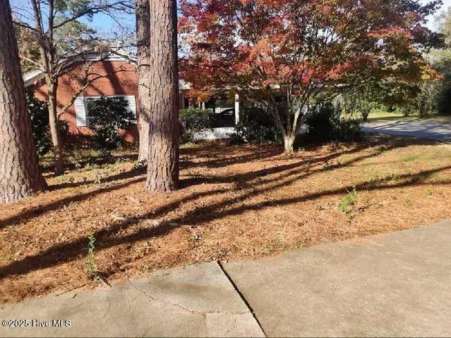 $315,000 | 33 Gapway Road, Fair Bluff, NC 28439