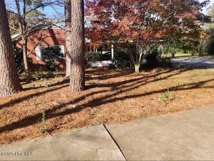 33 Gapway Road Fair Bluff, NC 28439 - Photo 101 of 108 1000020192