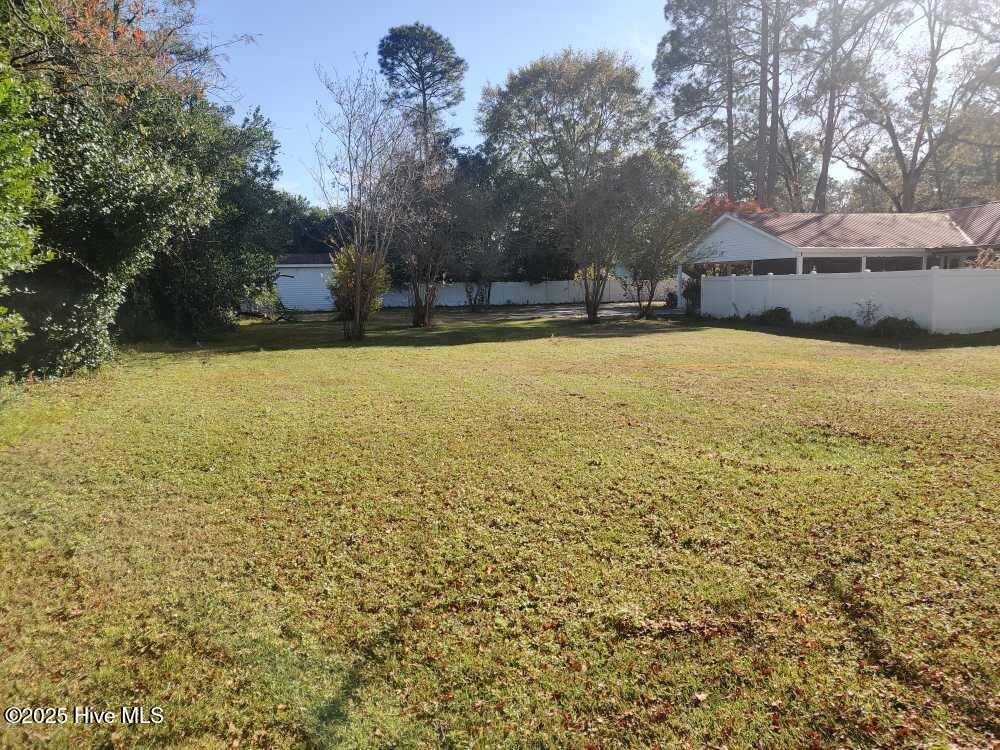 33 Gapway Road Fair Bluff, NC 28439 - Photo 102 of 108 1000020193